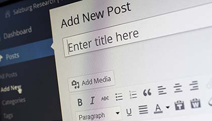 WordPress Development Process