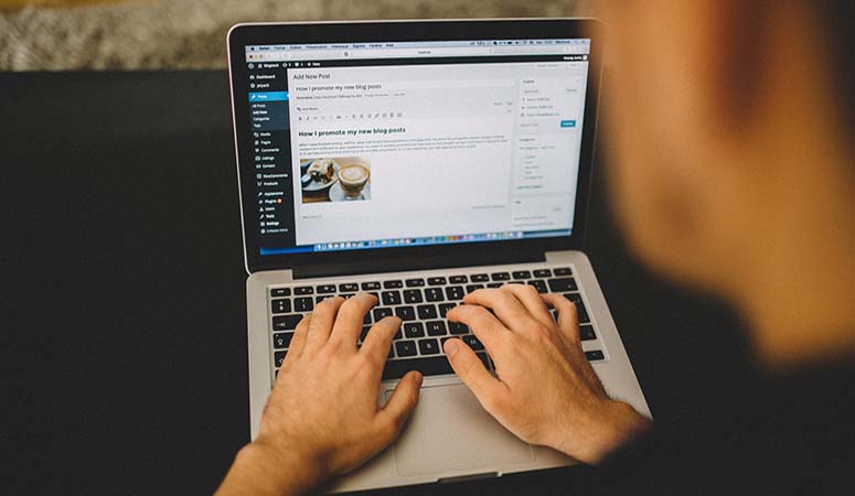 WordPress Development Service